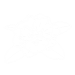 lavanya logo white square