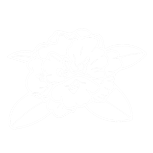 lavanya logo white square